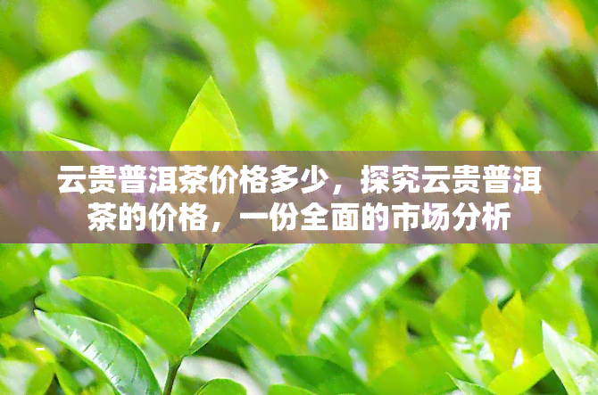 云贵普洱茶价格多少，探究云贵普洱茶的价格，一份全面的市场分析