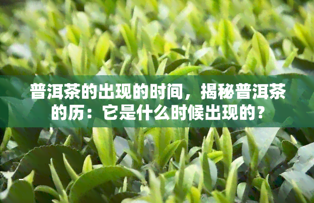 普洱茶的出现的时间，揭秘普洱茶的历：它是什么时候出现的？