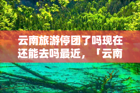 云南旅游停团了吗现在还能去吗最近，「云南旅游」停团了吗？现在还能去吗？最近的情况是……