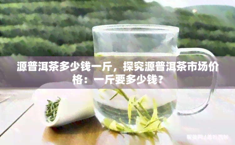 源普洱茶多少钱一斤，探究源普洱茶市场价格：一斤要多少钱？