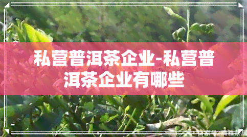 私营普洱茶企业-私营普洱茶企业有哪些