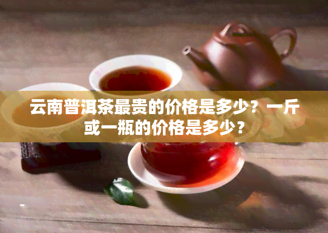 云南普洱茶最贵的价格是多少？一斤或一瓶的价格是多少？