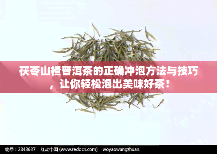 茯苓山楂普洱茶的正确冲泡方法与技巧，让你轻松泡出美味好茶！