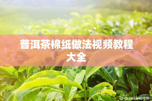 普洱茶棉纸做法视频教程大全