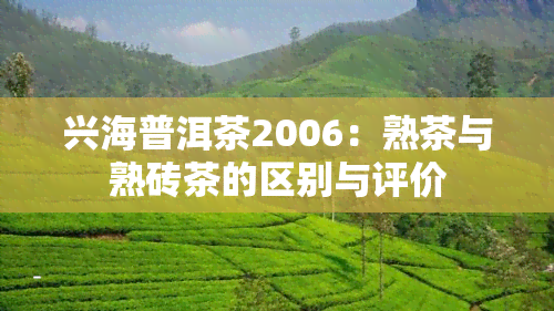 兴海普洱茶2006：熟茶与熟砖茶的区别与评价