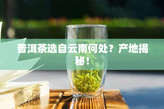 普洱茶选自云南何处？产地揭秘！