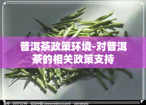 普洱茶政策环境-对普洱茶的相关政策支持