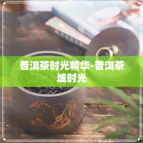 普洱茶时光精华-普洱茶城时光