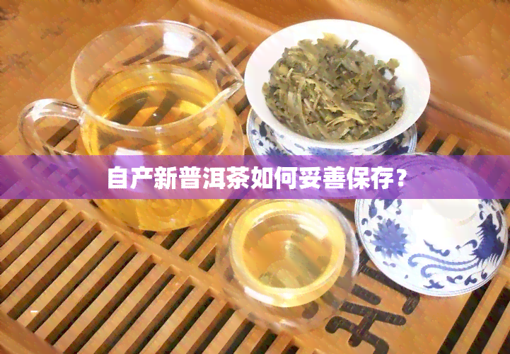 自产新普洱茶如何妥善保存？