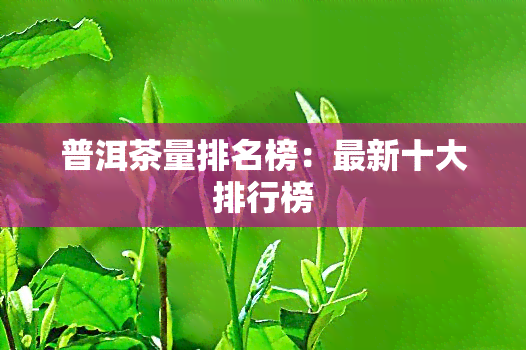 普洱茶量排名榜：最新十大排行榜