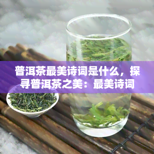 普洱茶最美诗词是什么，探寻普洱茶之美：最美诗词欣