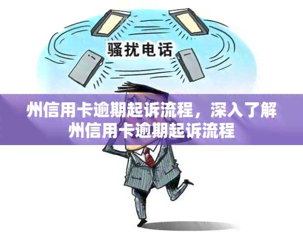 州信用卡逾期起诉流程，深入了解州信用卡逾期起诉流程