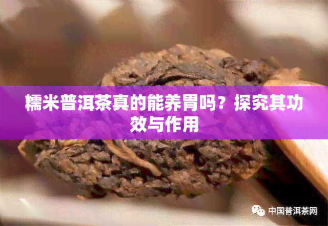 糯米普洱茶真的能养胃吗？探究其功效与作用