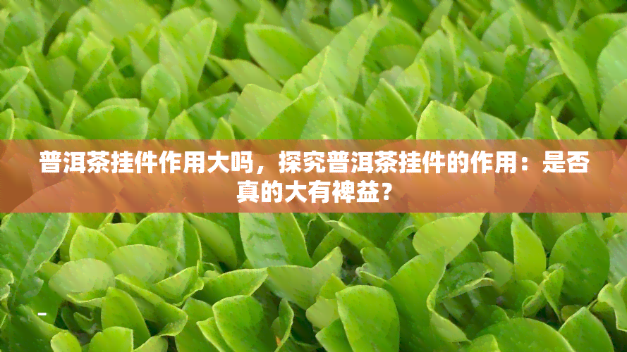 普洱茶挂件作用大吗，探究普洱茶挂件的作用：是否真的大有裨益？