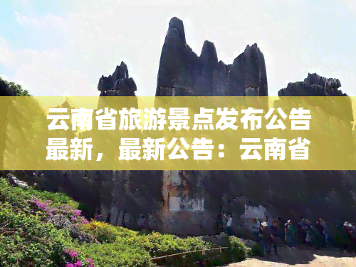 云南省旅游景点发布公告最新，最新公告：云南省旅游景点开放信息一览