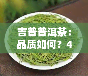 吉普普洱茶：品质如何？405款如何？