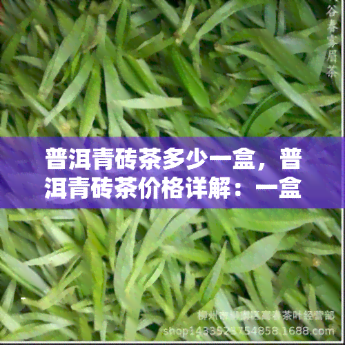 普洱青砖茶多少一盒，普洱青砖茶价格详解：一盒多少钱？