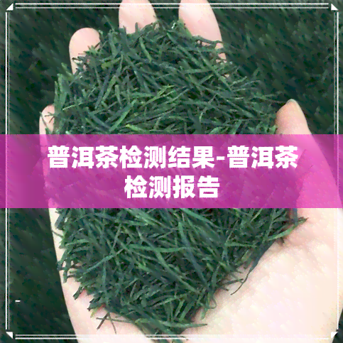 普洱茶检测结果-普洱茶检测报告