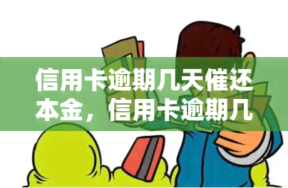 信用卡逾期几天催还本金，信用卡逾期几天：如何有效催还本金？