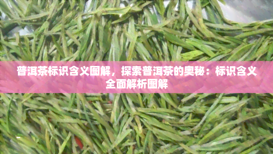 普洱茶标识含义图解，探索普洱茶的奥秘：标识含义全面解析图解