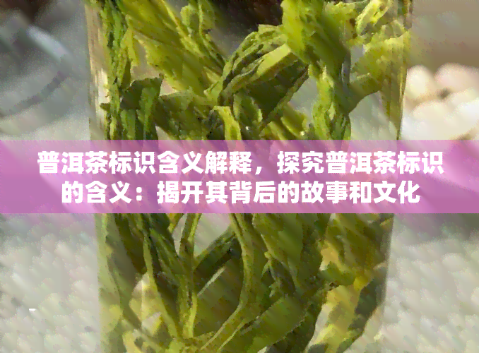 普洱茶标识含义解释，探究普洱茶标识的含义：揭开其背后的故事和文化