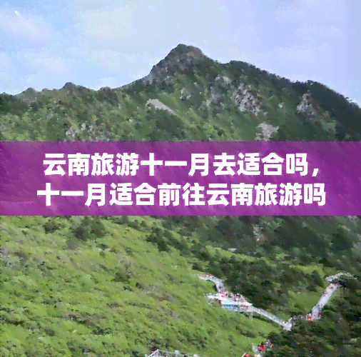 云南旅游十一月去适合吗，十一月适合前往云南旅游吗？答案在这里！