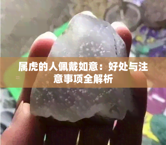 属虎的人佩戴如意：好处与注意事项全解析