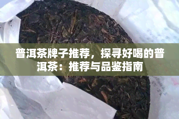 普洱茶牌子推荐，探寻好喝的普洱茶：推荐与品鉴指南