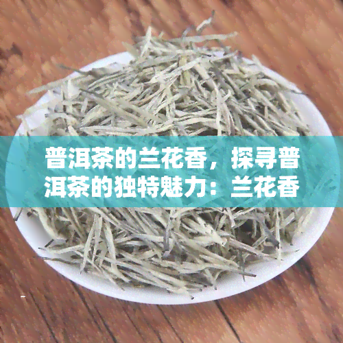 普洱茶的兰花香，探寻普洱茶的独特魅力：兰花香的秘密