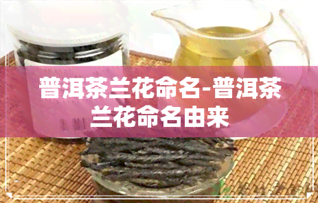 普洱茶兰花命名-普洱茶兰花命名由来