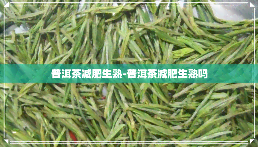 普洱茶减肥生熟-普洱茶减肥生熟吗