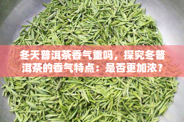 冬天普洱茶香气重吗，探究冬普洱茶的香气特点：是否更加浓？