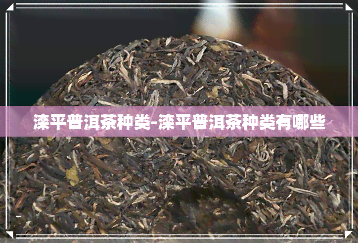 滦平普洱茶种类-滦平普洱茶种类有哪些