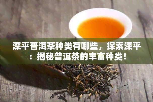 滦平普洱茶种类有哪些，探索滦平：揭秘普洱茶的丰富种类！