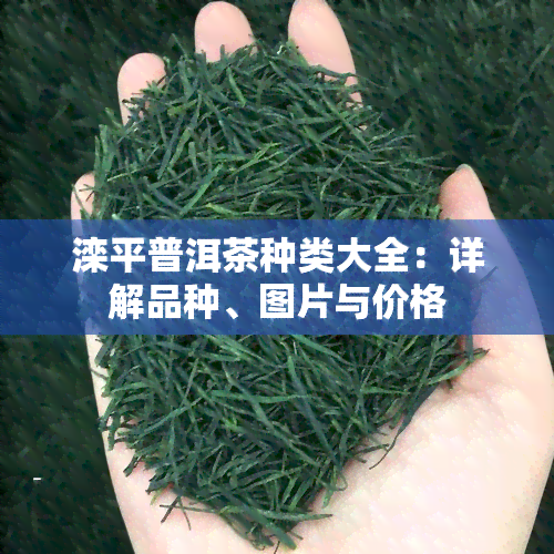 滦平普洱茶种类大全：详解品种、图片与价格