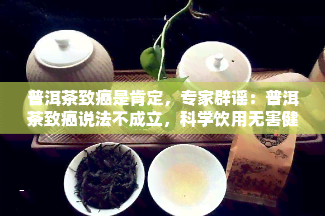 普洱茶致癌是肯定，专家辟谣：普洱茶致癌说法不成立，科学饮用无害健