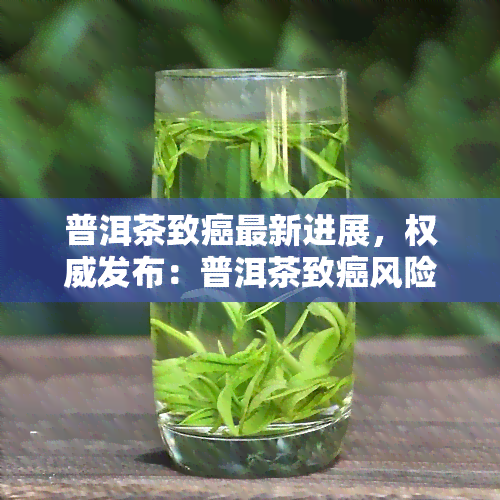 普洱茶致癌最新进展，权威发布：普洱茶致癌风险最新研究进展