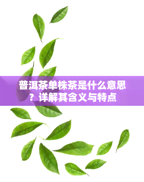 普洱茶单株茶是什么意思？详解其含义与特点