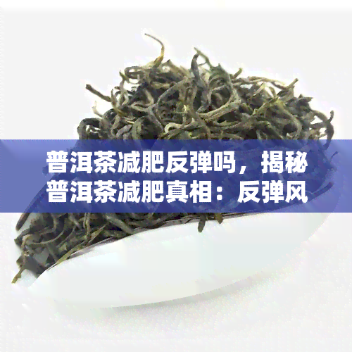 普洱茶减肥反弹吗，揭秘普洱茶减肥真相：反弹风险大吗？