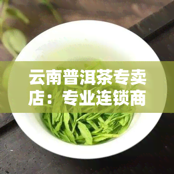 云南普洱茶专卖店：专业连锁商城，提供各类优质普洱茶产品