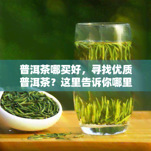 普洱茶哪买好，寻找优质普洱茶？这里告诉你哪里买！