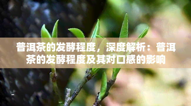 普洱茶的发酵程度，深度解析：普洱茶的发酵程度及其对口感的影响