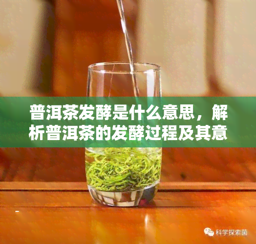 普洱茶发酵是什么意思，解析普洱茶的发酵过程及其意义