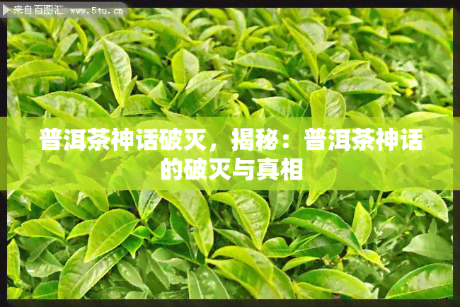 普洱茶神话破灭，揭秘：普洱茶神话的破灭与真相