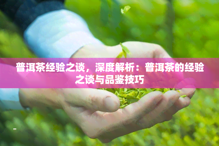 普洱茶经验之谈，深度解析：普洱茶的经验之谈与品鉴技巧