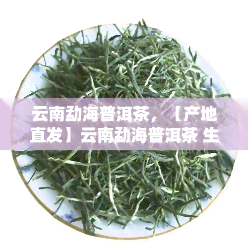 云南勐海普洱茶，【产地直发】云南勐海普洱茶 生茶 防伪纸7572熟茶饼礼盒装 新茶压制 传统工艺茶叶礼品 冠生园老厂