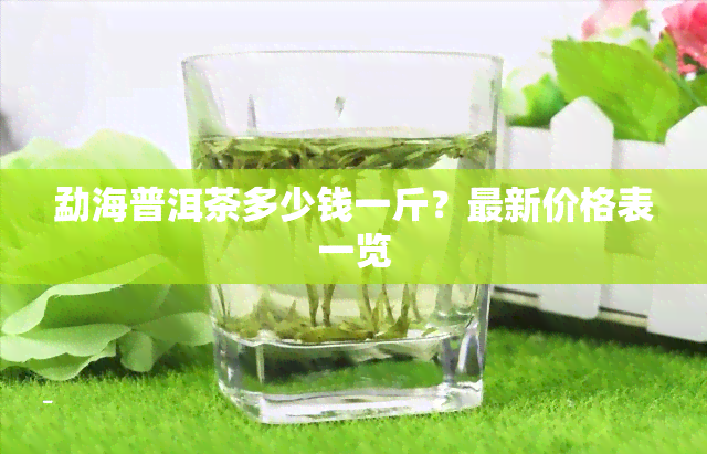 勐海普洱茶多少钱一斤？最新价格表一览