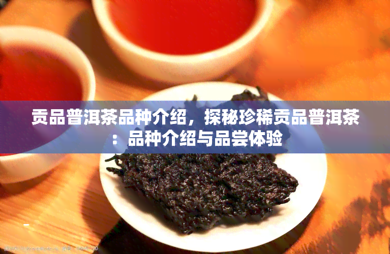 贡品普洱茶品种介绍，探秘珍稀贡品普洱茶：品种介绍与品尝体验