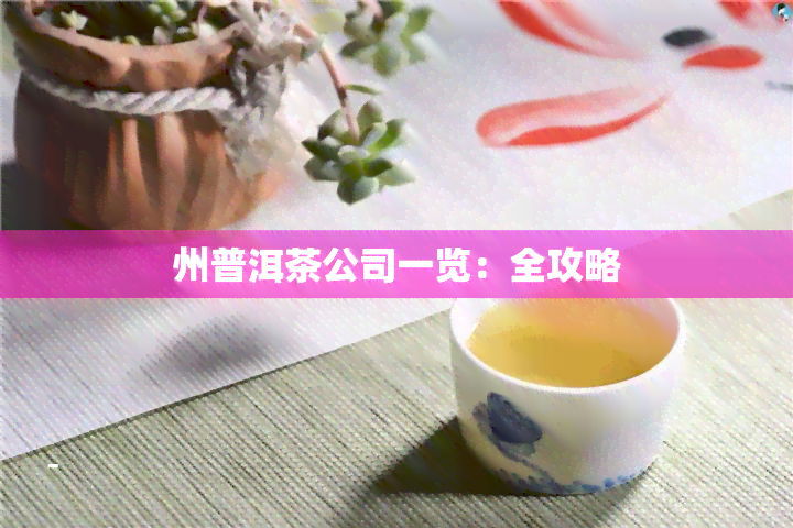 州普洱茶公司一览：全攻略