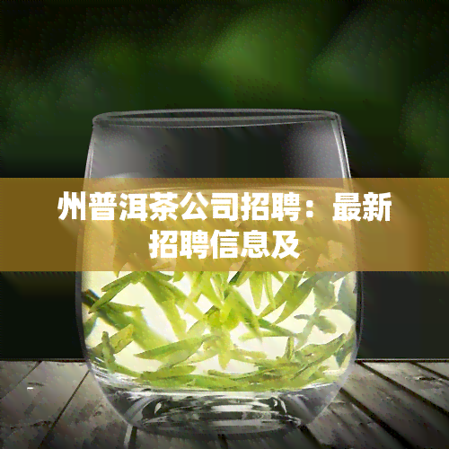 州普洱茶公司招聘：最新招聘信息及